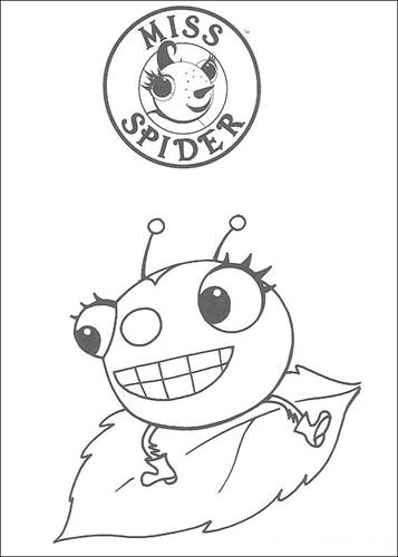 Miss Spider