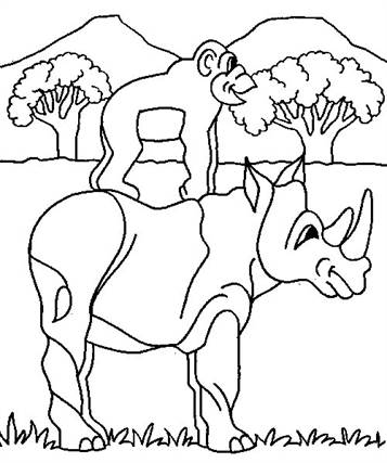 Neushoorn