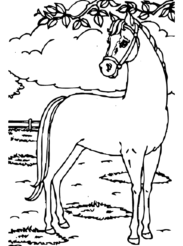 Print Paard kleurplaat