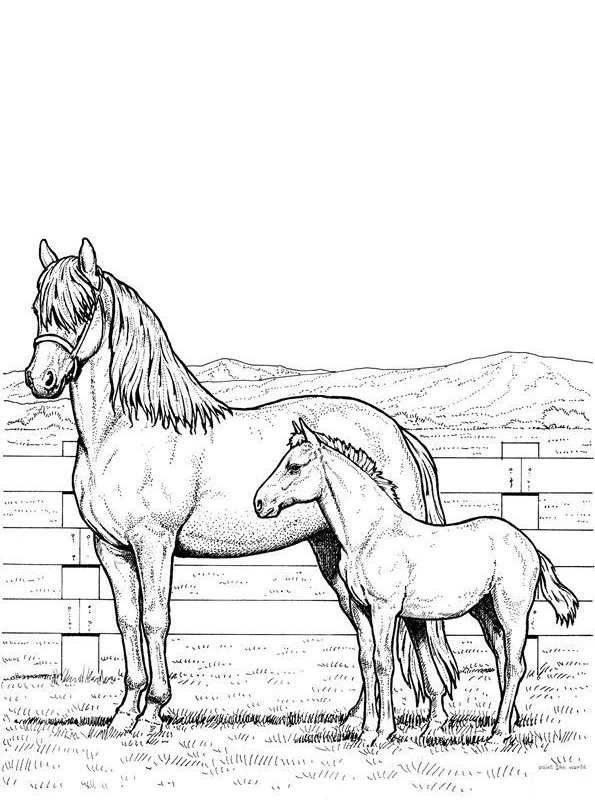 Print Paarden kleurplaat