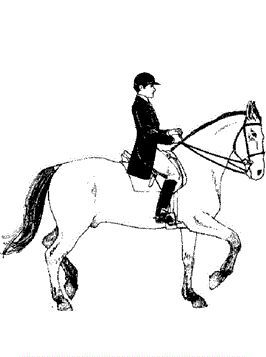 Ruiter, kleurplaat van Paarden
