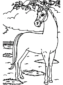 Paard 3, kleurplaat van Paarden
