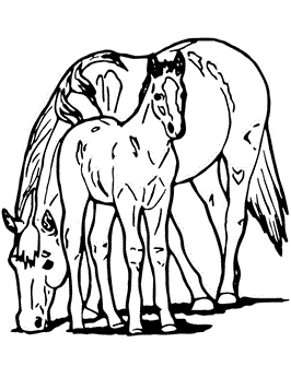Paard en veulen 4, kleurplaat van Paarden