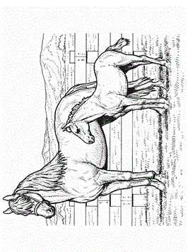 Paard en veulen 5, kleurplaat van Paarden