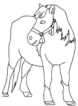 Paarden 1, kleurplaat van Paarden