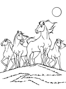 Paarden 21, kleurplaat van Paarden
