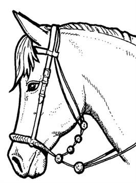 Paarden 22, kleurplaat van Paarden