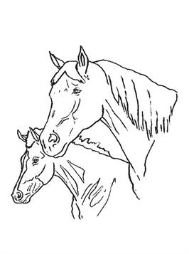Paarden 23, kleurplaat van Paarden