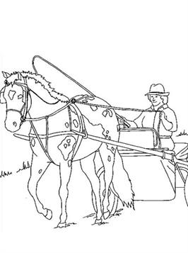 Paarden 24, kleurplaat van Paarden