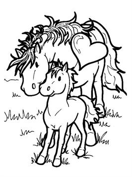 Paarden 25, kleurplaat van Paarden