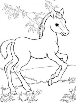 Paarden 10, kleurplaat van Paarden