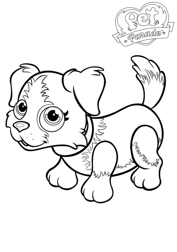 Pet parade