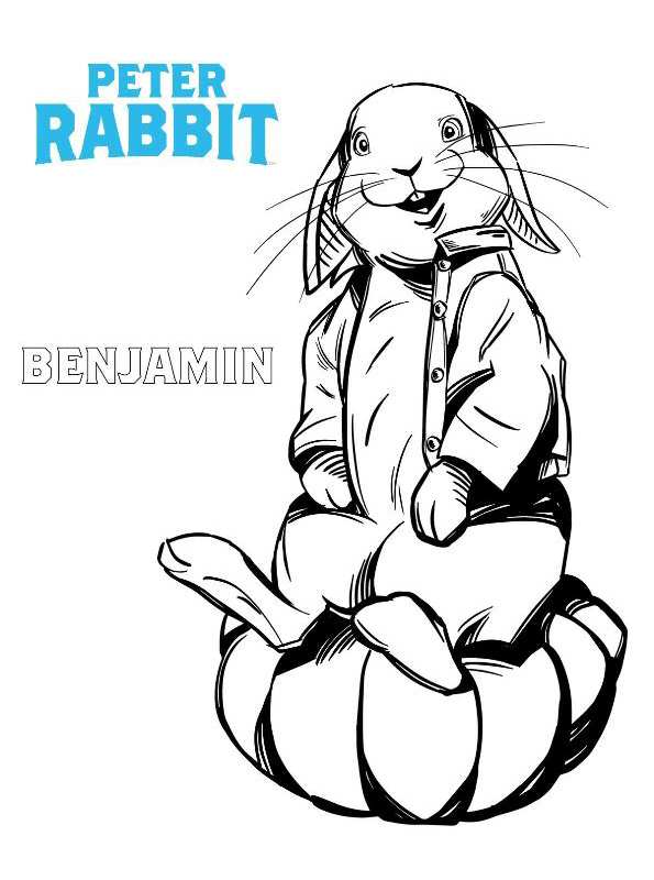 Pieter Konijn of Peter Rabbit 2018
