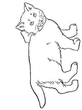 Poes met strik 1, kleurplaat van Poezen en katten