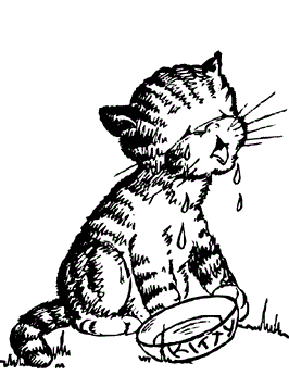 Poes huilt wat melk is op, kleurplaat van Poezen en katten