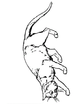 Poes 4, kleurplaat van Poezen en katten