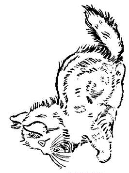 Poes 5, kleurplaat van Poezen en katten