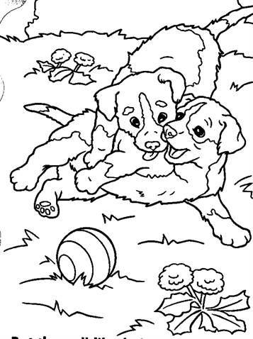 Puppies