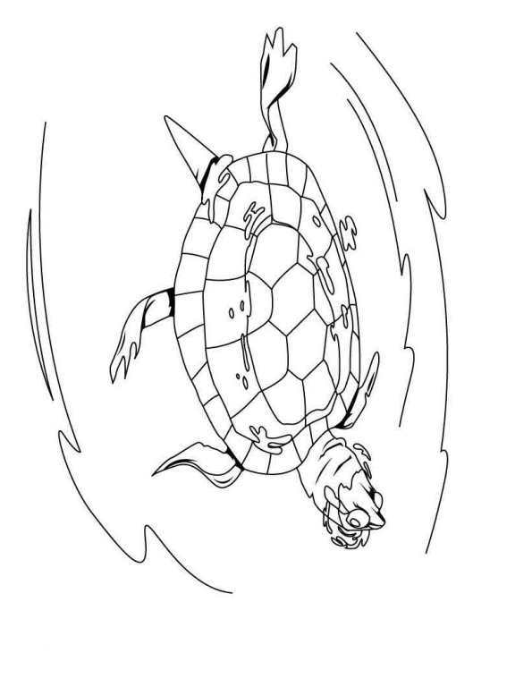 Schildpadden