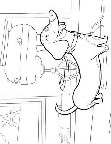 Huisdiergeheimen (Secret life of Pets)