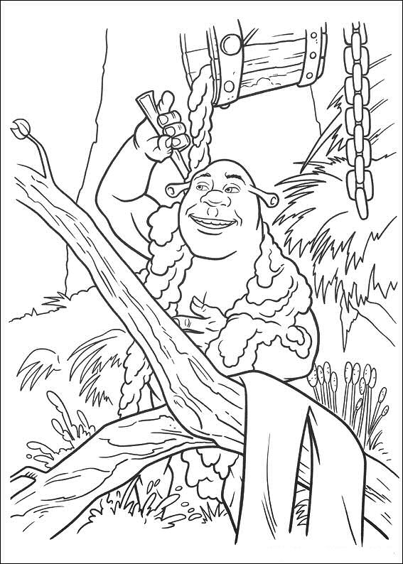 Shrek's modderdouche, kleurplaat van Shrek 4 Voor Eeuwig en Altijd(Forever After)