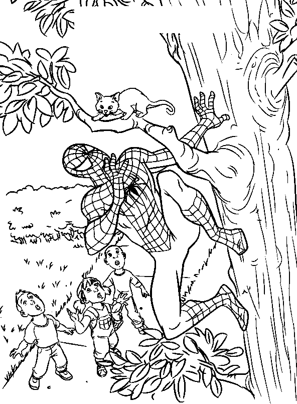 Spiderman redt een poesje
