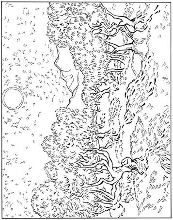 Olijf bomen 1889, kleurplaat van Vincent van Gogh