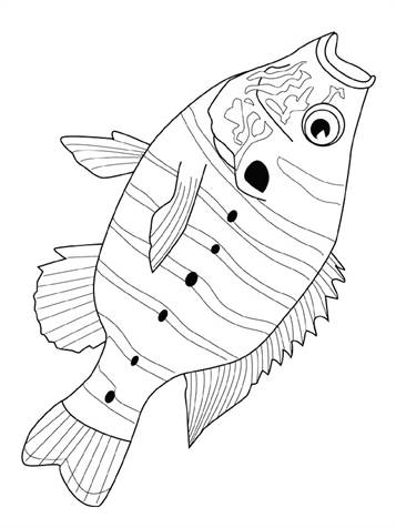 Vissen