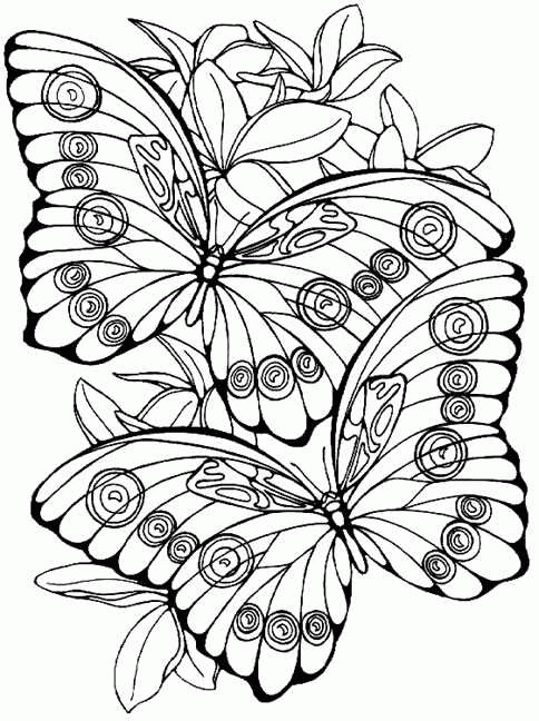 Print Vlinders kleurplaat