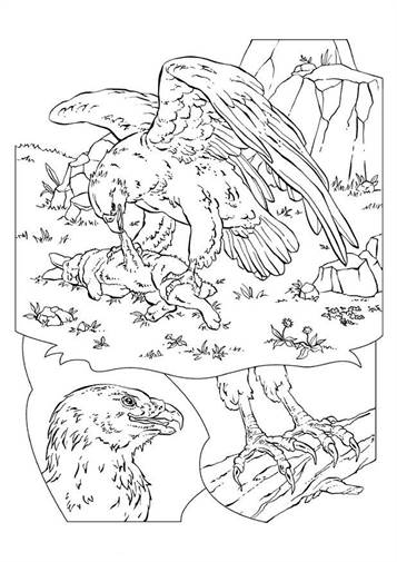 Vogels