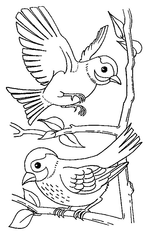 Print Vogels kleurplaat