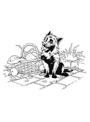 Toto, het hondje van Dorothy, kleurplaat van Wizard of Oz