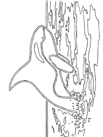 Zeedieren