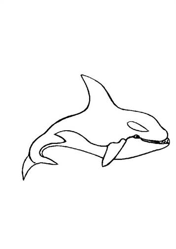 Orca 2, kleurplaat van Zeedieren
