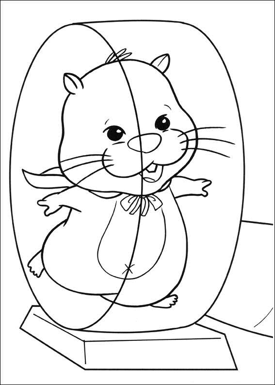 Zhu Zhu Pets 24, kleurplaat van Zhu Zhu Pets