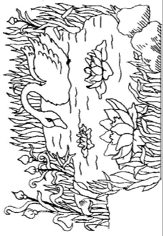 Print Zwaan in een vijver kleurplaat